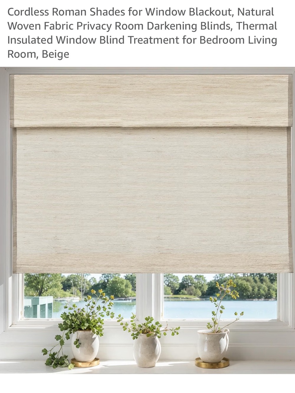 🍃💕 Cordless Woven Roman Shades Privacy Window